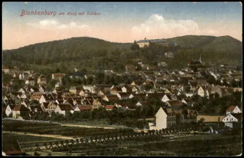 Bad Blankenburg Panorama-Ansicht Ortsansicht mit Schloss im Harz 1910