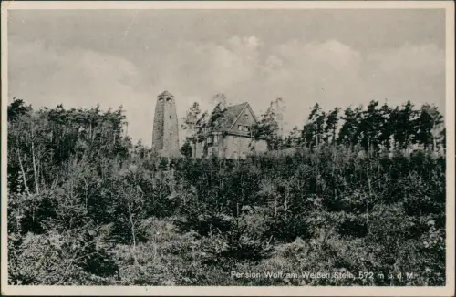Ansichtskarte Heidelberg Weißer Stein Pension Wolf 1940