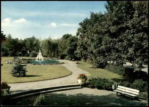 Ansichtskarte Willebadessen Im Kurpark 1968