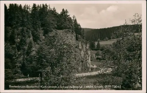 Breitenbrunn (Erzgebirge) Breitenhof Kammerstein Schwarzwassertal 1934