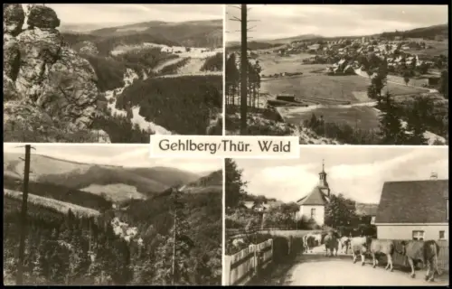 Ansichtskarte Gehlberg DDR Mehrbildkarte mit 4 Ortsansichten 1969