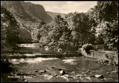 Ansichtskarte Thale (Harz) Umland-Ansicht Harz Bodetal zur DDR-Zeit 1967