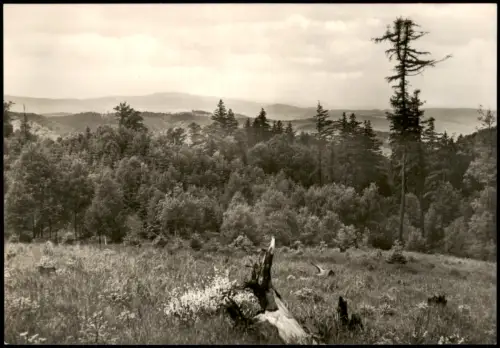Ansichtskarte Wernigerode Harzlandschaft bei Wernigerode zur DDR-Zeit 1967
