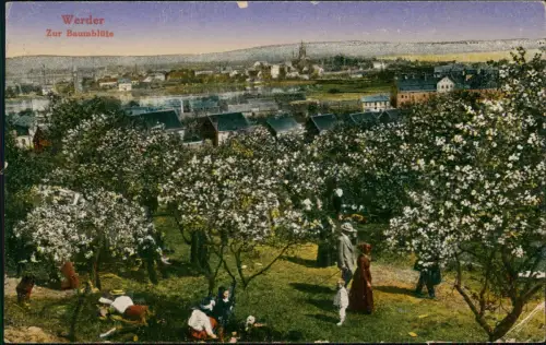 Ansichtskarte Werder (Havel) Zur Baumblüte - flanierende Menschen 1924