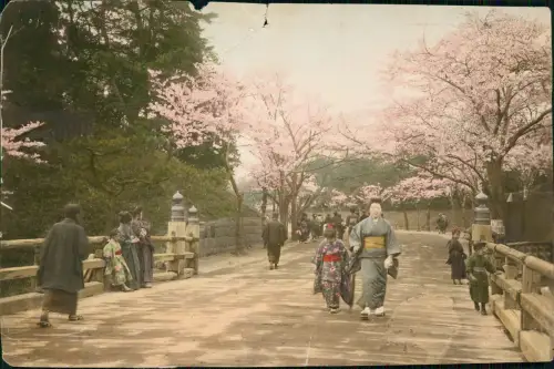 Postcard Japan Japan Nippon 日本 Kirschblütenzeit Park Colorfoto 1929
