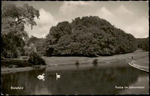 Ansichtskarte Bielefeld Partie im Johannistal, Teich mit Schwänen 1960