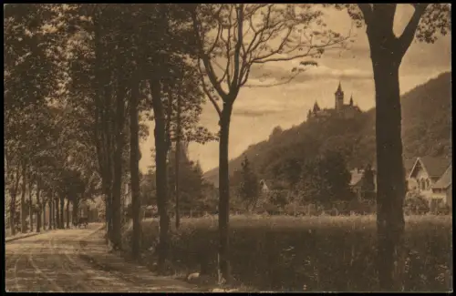 Nöschenrode-Wernigerode Ortsansicht Nöschenrode Partie mit Schloss 1910