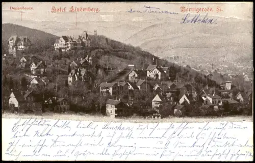 Wernigerode Panorama-Ansicht mit Hotel Lindenberg u. Dependence 1899