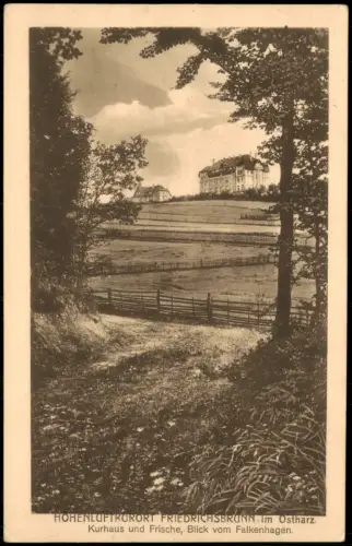 Ansichtskarte Friedrichsbrunn Kurhaus und Frische, Blick vom Falkenhagen 1910