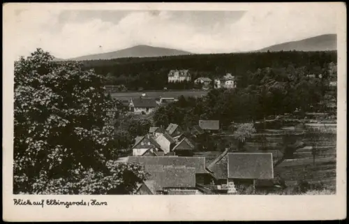 Elbingerode-Oberharz am Brocken Panorama mit Blick auf Häuser Partie Harz 1910