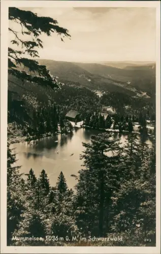 Ansichtskarte Achern Blick auf das Hotel am Mummelsee 1930