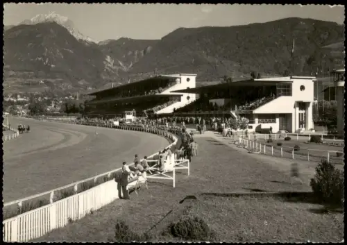 Cartolina Meran Merano Pferderennplatz Ippodromo - Fotokarte 1962
