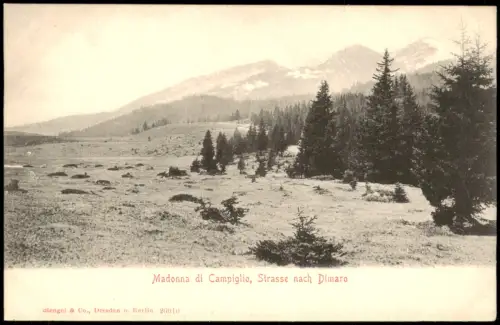 Madonna di Campiglio Sankt Maria Pein  Madonna Campiglio Strasse   Dimaro 1905