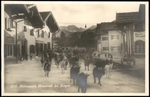 Ansichtskarte Mittenwald Heimtrieb der Ziegen. Bozner Weinstube 1930