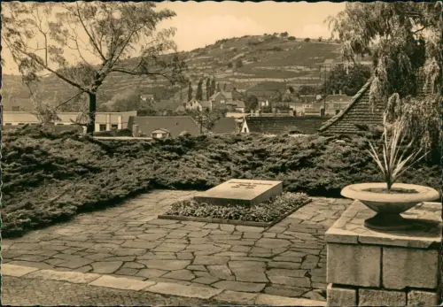 Freyburg (Unstrut) Friedrich-Ludwig-Jahn-Gedenkstätte Fotokarte 1961