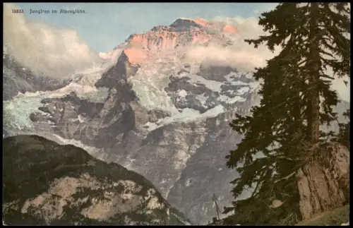 Ansichtskarte Lauterbrunnen Jungfrau im Alpenglühn. 1912