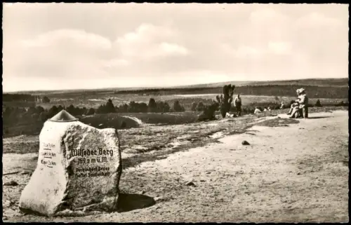 Ansichtskarte Wilsede-Bispingen Wilseder Berg Stein - Fotokarte 1963