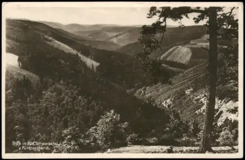 Ansichtskarte .Thüringen Blick in das Schwarzatal vom Fürstenstand, 1930