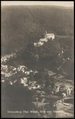 Ansichtskarte Schwarzburg Stadtpartie Fotokarte Villen 1930
