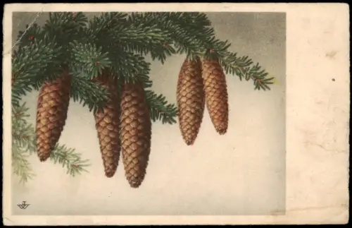 Ansichtskarte  Weihnachten Christmas Tannenzweige Künstlerkarte 1943