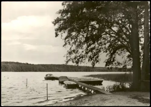 Ansichtskarte Ahrensdorf-Templin Erholungsheim Seehof 1980