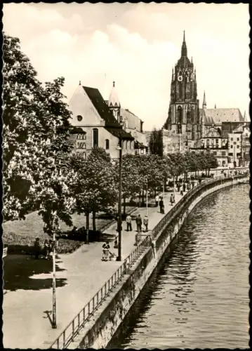 Ansichtskarte Frankfurt am Main Mainpromenade - Fotokarte 1961