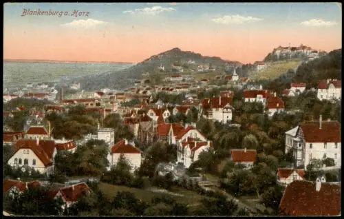 Ansichtskarte Bad Blankenburg Stadtpartie - Fernblick 1928