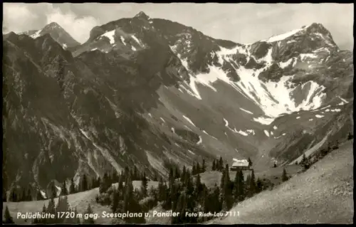 Ansichtskarte Brand Palüdhütte gegen Scesaplana u. Panüler Fotokarte 1963