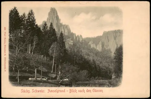 Rathewalde Sächs. Schweiz Amselgrund - Blick nach den Gänsen 1908