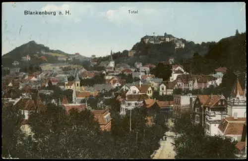 Ansichtskarte Bad Blankenburg Totale 1913