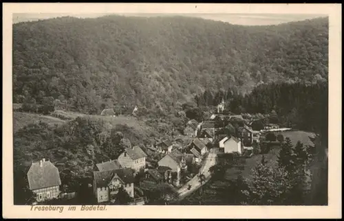 Ansichtskarte Treseburg Blick auf die Dorfstraße 1922