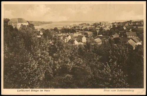 Ansichtskarte Stiege Harz Blick vom Schenkenberg 1926