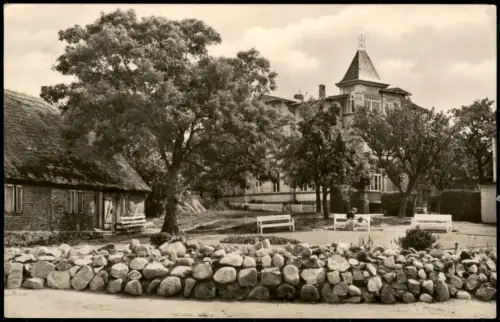 Ansichtskarte Göhren Rügen Parkanlage an der Poststraße 1959