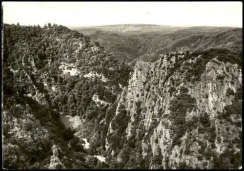 Ansichtskarte Thale (Harz) Blick vom Hexentanzplatz zum Roßtrappenfelsen 1977