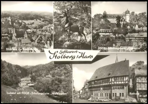 Ansichtskarte Stolberg (Harz) FDGB Erholungsheim Comenius Rathaus uvm 1975