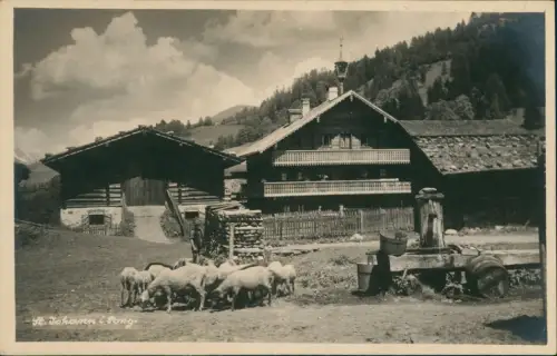 St. Johann im Pongau Sankt Johann im Pongau Schafe am Gehöft - Fotokarte 1926