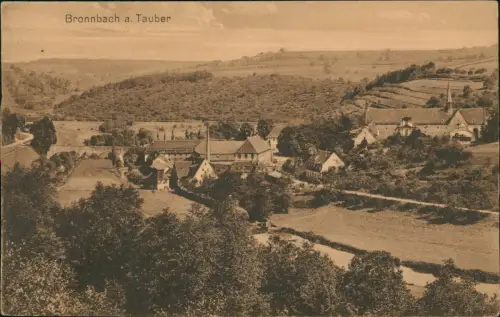 Ansichtskarte Bronnbach-Wertheim Ortspartie 1916