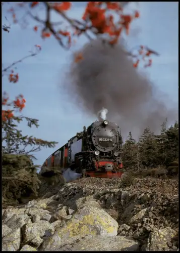 Wernigerode Dampflok 99 7231-6 Harz Schmalspurbahnen in der Brockenspirale 1998