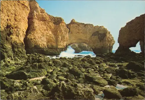 Postcard .Portugal Algarve Detail de la Cote 1974