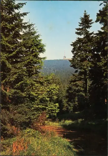 Ansichtskarte Ilsenburg (Harz) Brockenblick 1981