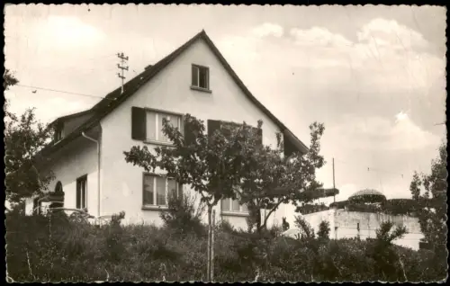 Ansichtskarte Litzelstetten-Konstanz Pension Inselblick 1962