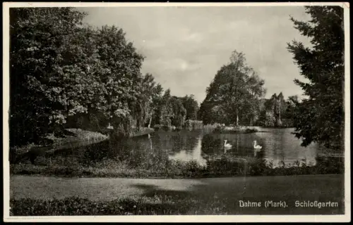 Ansichtskarte Dahme (Mark) Schlossgarten 1937