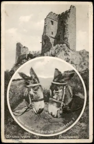 Ansichtskarte Königswinter Drachenfels und Esel 1938