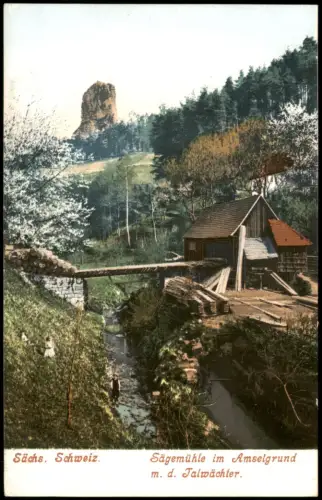 Ansichtskarte Rathewalde Sägemühle im Amselgrundm. d. Talwächter. 1913