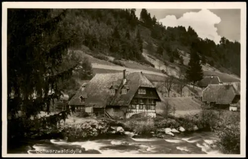 .Baden-Württemberg Schwarzwaldidylle Schwarzwald Häuser am Fluss 2934