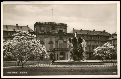 Ansichtskarte Mannheim Schloss Baumblüte - Fotokarte 1935