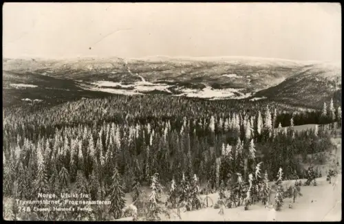 Norwegen Norge Tryvannsternet Frognersæteren Norge Tannenwald Winter 1934
