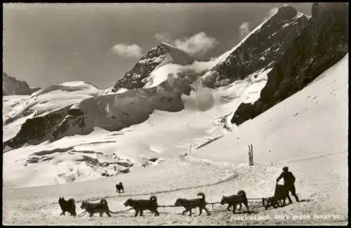 Lauterbrunnen Jungfraujoch, Blick gegen Jungfrau Hundeschlitten 1956