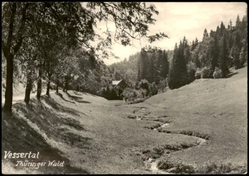 Ansichtskarte Vesser-Suhl Partie im Vessertal 1965