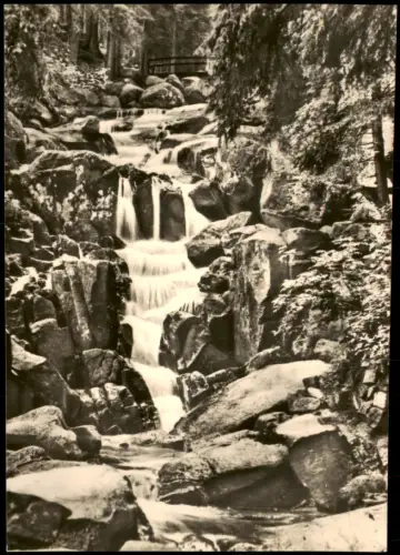 Ansichtskarte Wernigerode Steinerne Renne - Fotokarte 1968
